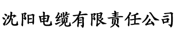 天天综合影视电缆厂logo